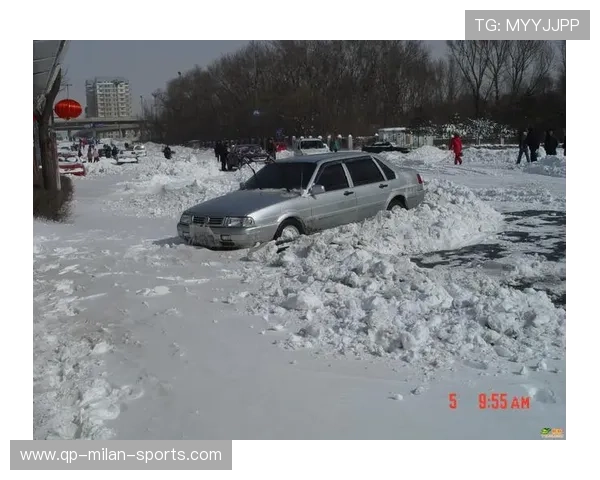 “天灾挑战:暴雨雪雹中的赛场勇士”,雪暴灾害 “天灾挑战:暴雨雪雹中的赛场勇士”,雪暴灾害
